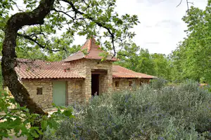 Steinhaus mit grünem Eingangstür, Ziegeldach und Steinmauer, umgeben von Bäumen und blühenden Sträuchern im Garten.