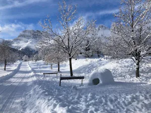 Camping Les 4 Saisons