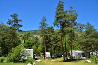 Camping Les 5 Vallées - Standplätze unter Bäumen auf grüner Wiese