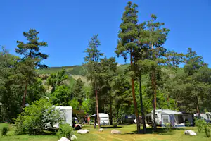 Campingplatz im Grünen mit mehreren Zelten, Rasenfläche und hohen Bäumen im Hintergrund vor einem bewaldeten Hang.
