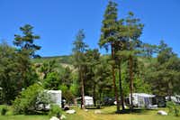 Camping Les 5 Vallées - Standplätze unter Bäumen auf grüner Wiese