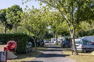 Camping Les Acacias - Standplätze auf dem Campingplatz