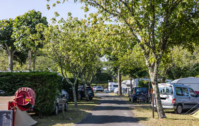 Camping Les Acacias (Messanges)