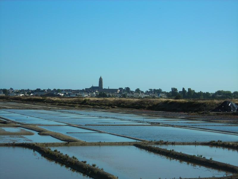 Camping Les Ajoncs d'Or