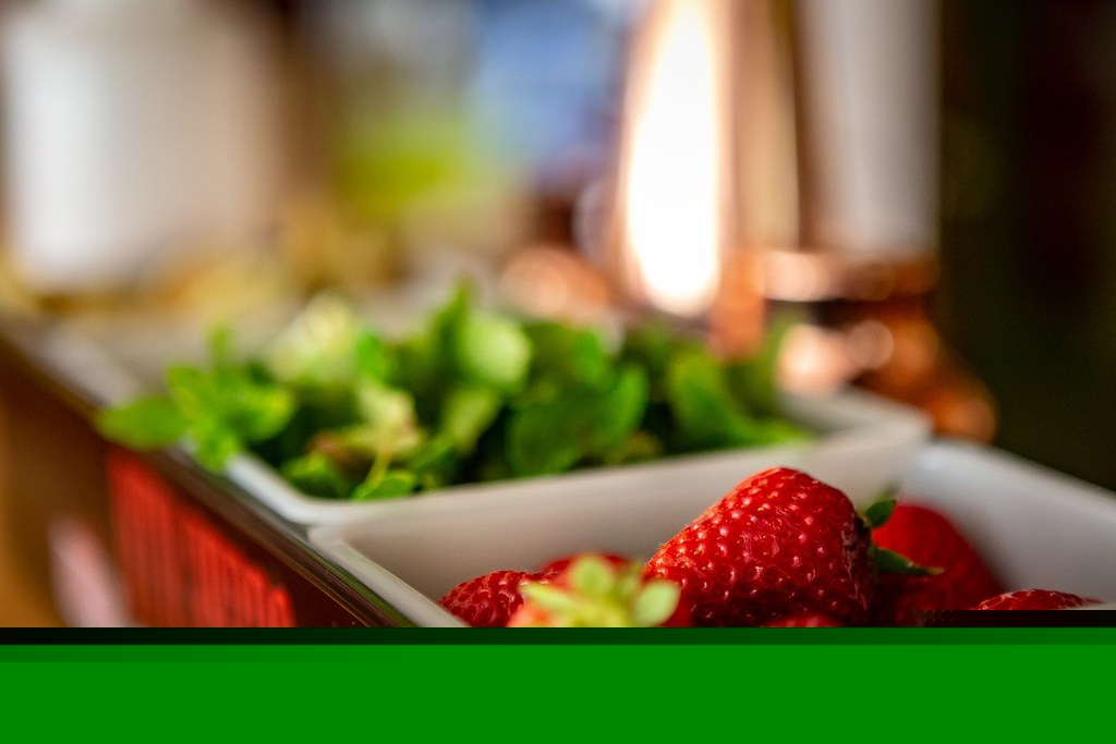 Camping les Alouettes