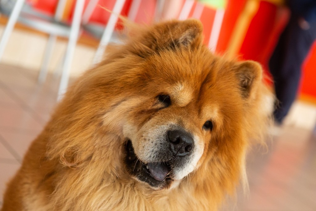 Camping les Alouettes