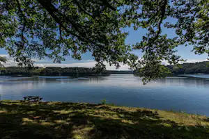 Seeufer mit Picknickbank, ruhigem Wasser und Baumkronen im Vordergrund, dahinter grüne Hügel und Uferlinie.