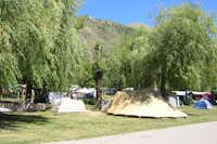 Camping Les Auches - Wohnwagen- und Zeltstellplatz zwischen Bäumen