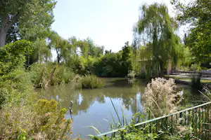 Ruhiger Teich im Campinggarten mit Weiden, Schilf am Ufer und Terrasse mit Sitzgelegenheiten am Rand.