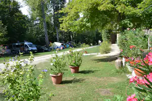 Campingplatz im Grünen: Rasen, Blumen in Töpfen, Kiesweg, Bäume und mehrere geparkte Autos sowie Zelte im Hintergrund.