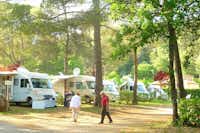 Camping Les Blimouses - Wohnmobile auf dem Campingplatz im Schatten der Bäume