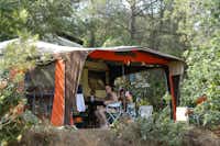 Camping Les Bois de Mont-Redon  -  Wohnwagenstellplatz unter Bäumen auf dem Campingplatz