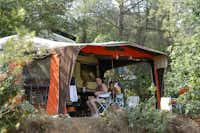Camping Les Bois de Mont-Redon  -  Wohnwagenstellplatz unter Bäumen auf dem Campingplatz