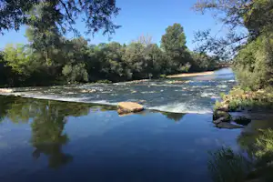 Ruhiger Fluss mit Stromschnellen, umgeben von Bäumen und Ufervegetation, im Vordergrund ein großer Stein im Wasser.
