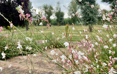 Onlycamp Les Bords de Vienne