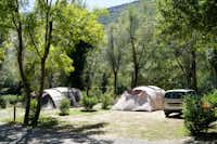 Camping Les Bords du Tarn - Zelte auf dem Zeltplatz vom Campingplatz im Grünen zwischen Bäumen 