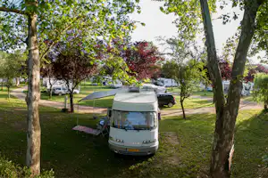 Camping de La Moselle Camping Les Boucles de La Moselle - Standplätze umgeben von kleinen Bäumen auf einer Wiese