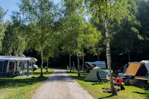 Camping Les Bouleaux - Standplätze auf dem Campingplatz