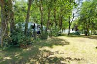 Camping Les Brugues - Zelt- und Standplatzwiese auf dem Campingplatz