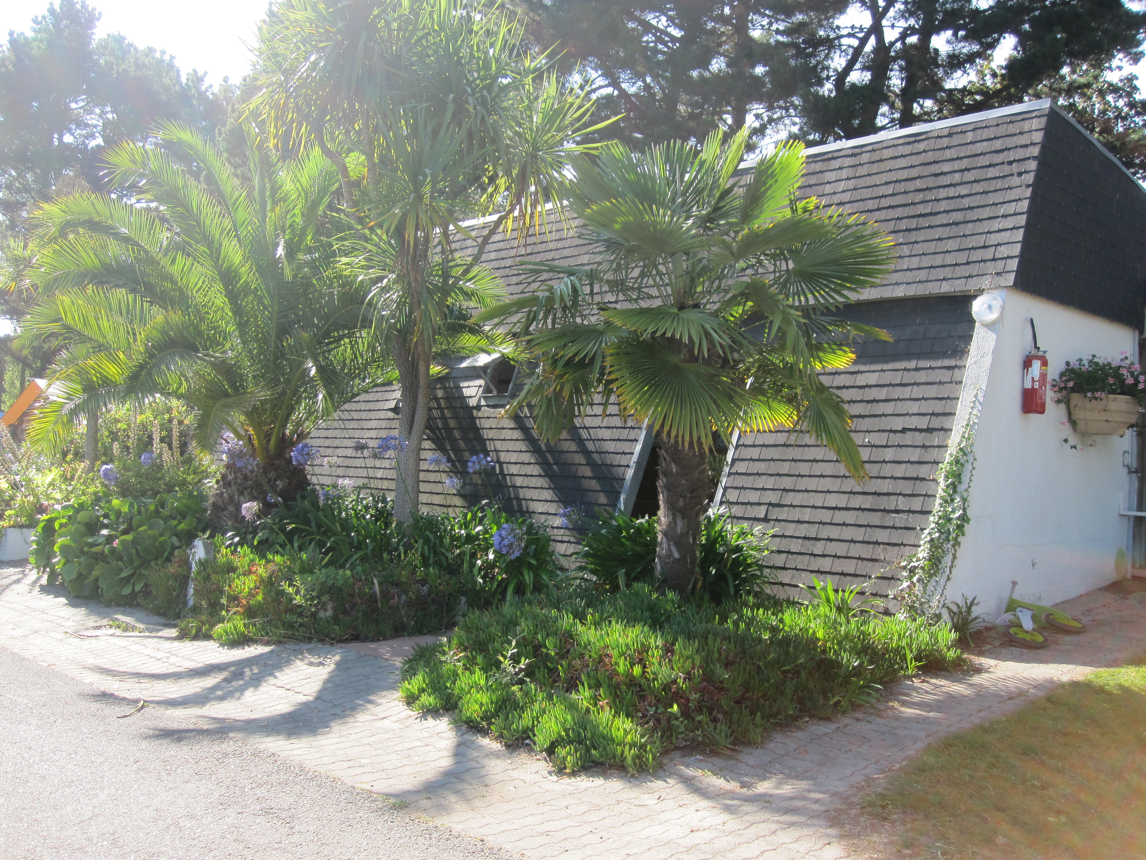 Camping Paradis Les Capucines