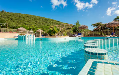 Camping Les Cerisiers du Jaur