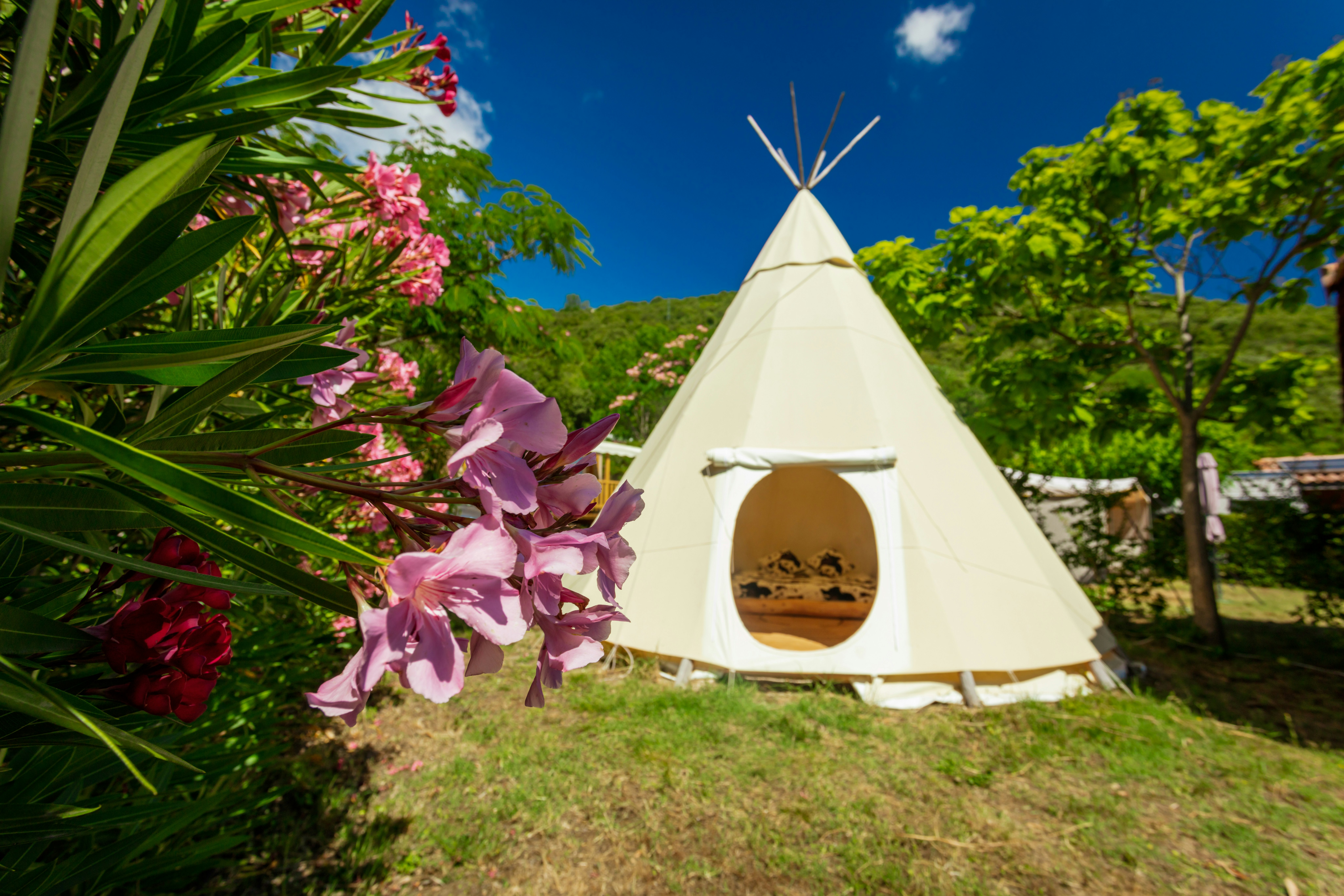 Camping Les Cerisiers du Jaur