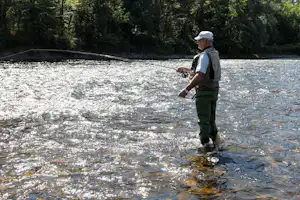 Ein Mann beim Angeln am Fluss, mit Rute und Rolle, im Hintergrund dichter Wald und ruhiges Wasser.