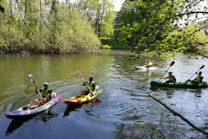 Mehrere Kanus auf dem ruhigen Fluss, Paddel im Einsatz, umgeben von grünen Bäumen und Ufervegetation.