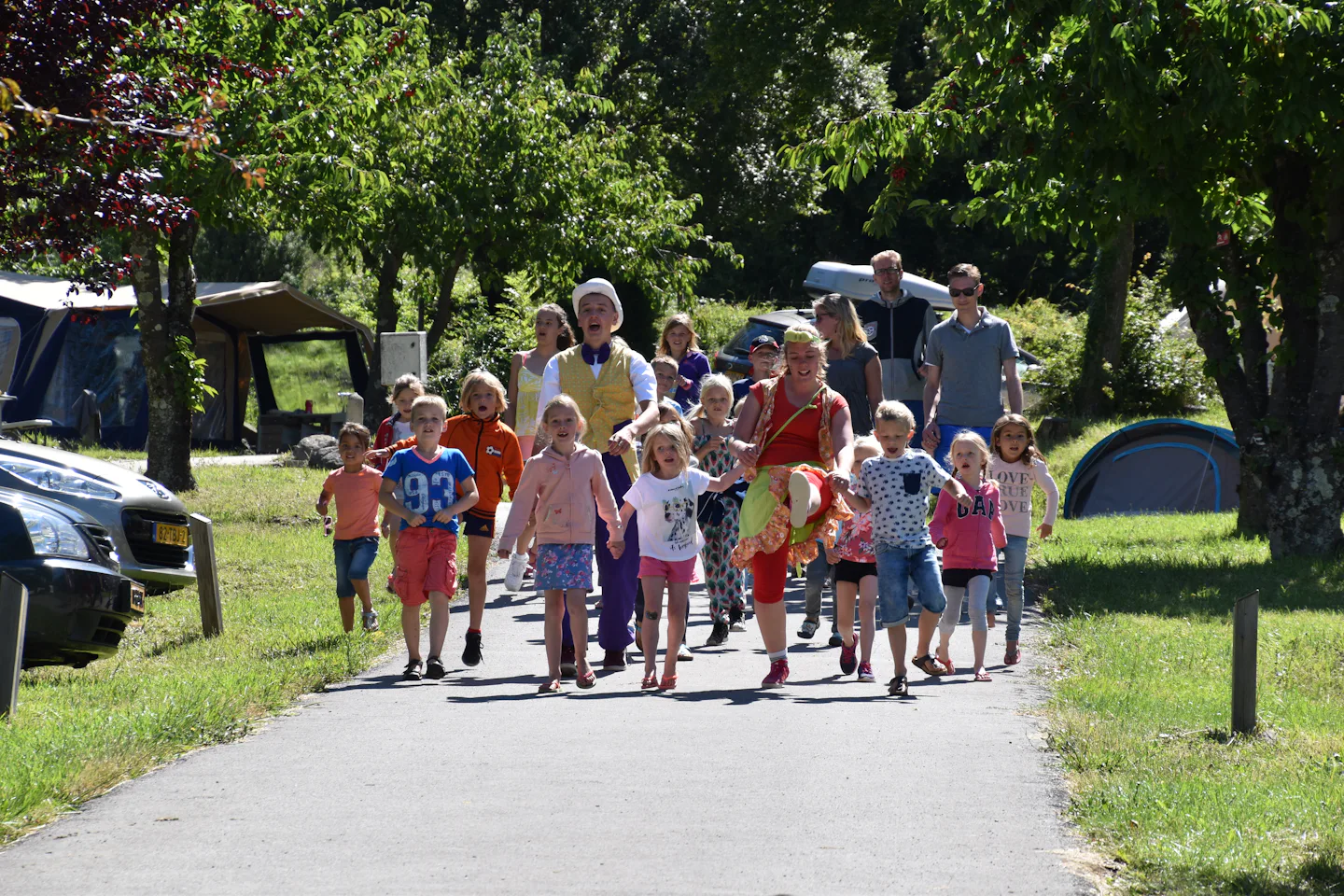 Camping Les Charmilles (Darbres)