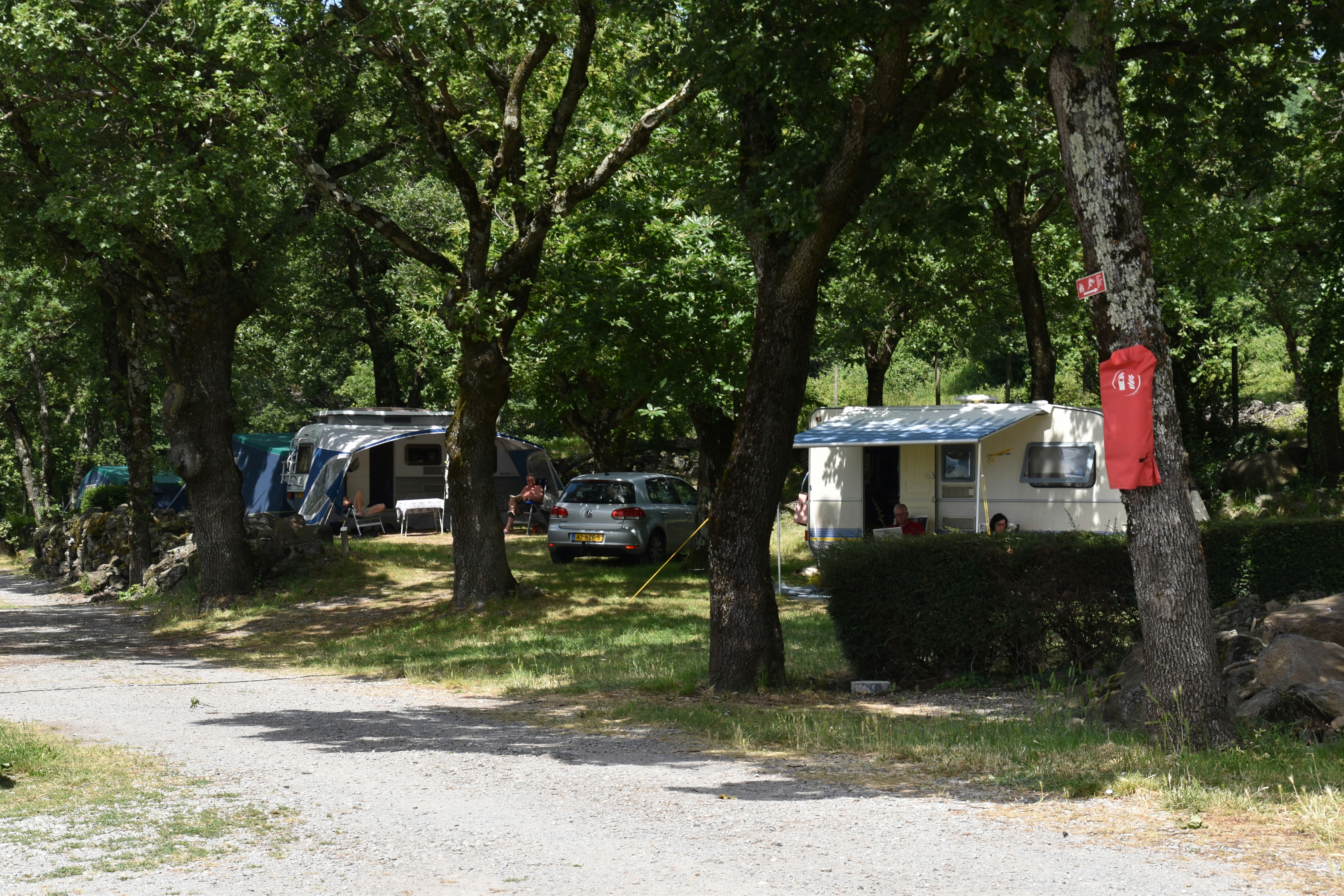 Campingplatz mit Wohnwagen und Autos unter großen Bäumen, Rasenfläche und Schattendach am Stellplatz.