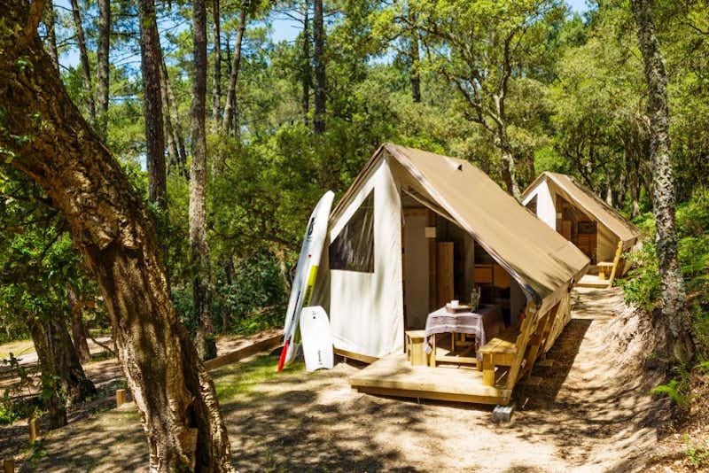 Camping Les Chevreuils  -  Mobilheime vom Campingplatz mit Veranden zwischen Bäumen