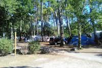 Camping Les Chevreuils  -  Wohnwagen- und Zeltstellplatz vom Campingplatz im Grünen