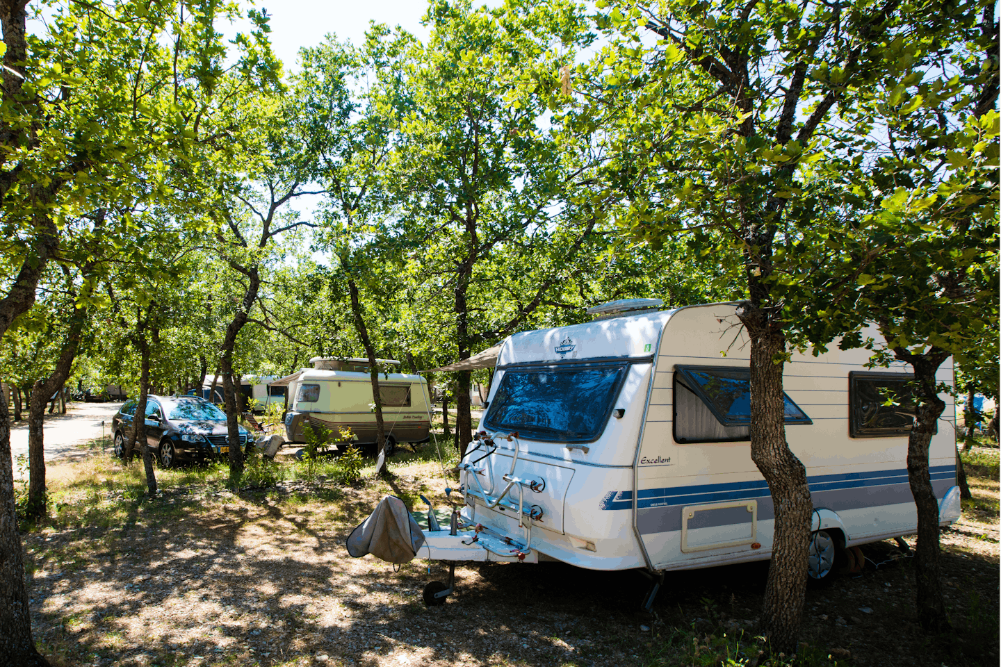 Camping Les Chênes Blancs -  Wohnwagen- und Zeltstellplatz zwischen Bäumen auf dem Campingplatz