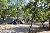 Camping Les Chênes Blancs -  Zeltstellplätze unter Bäumen auf dem Campingplatz