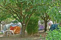 Camping Les Cigales - Wohnwagen- und Zeltstellplatz zwischen Bäumen