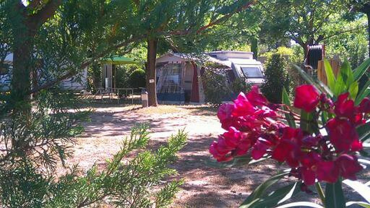 Camping Ecolodge Les Cigales