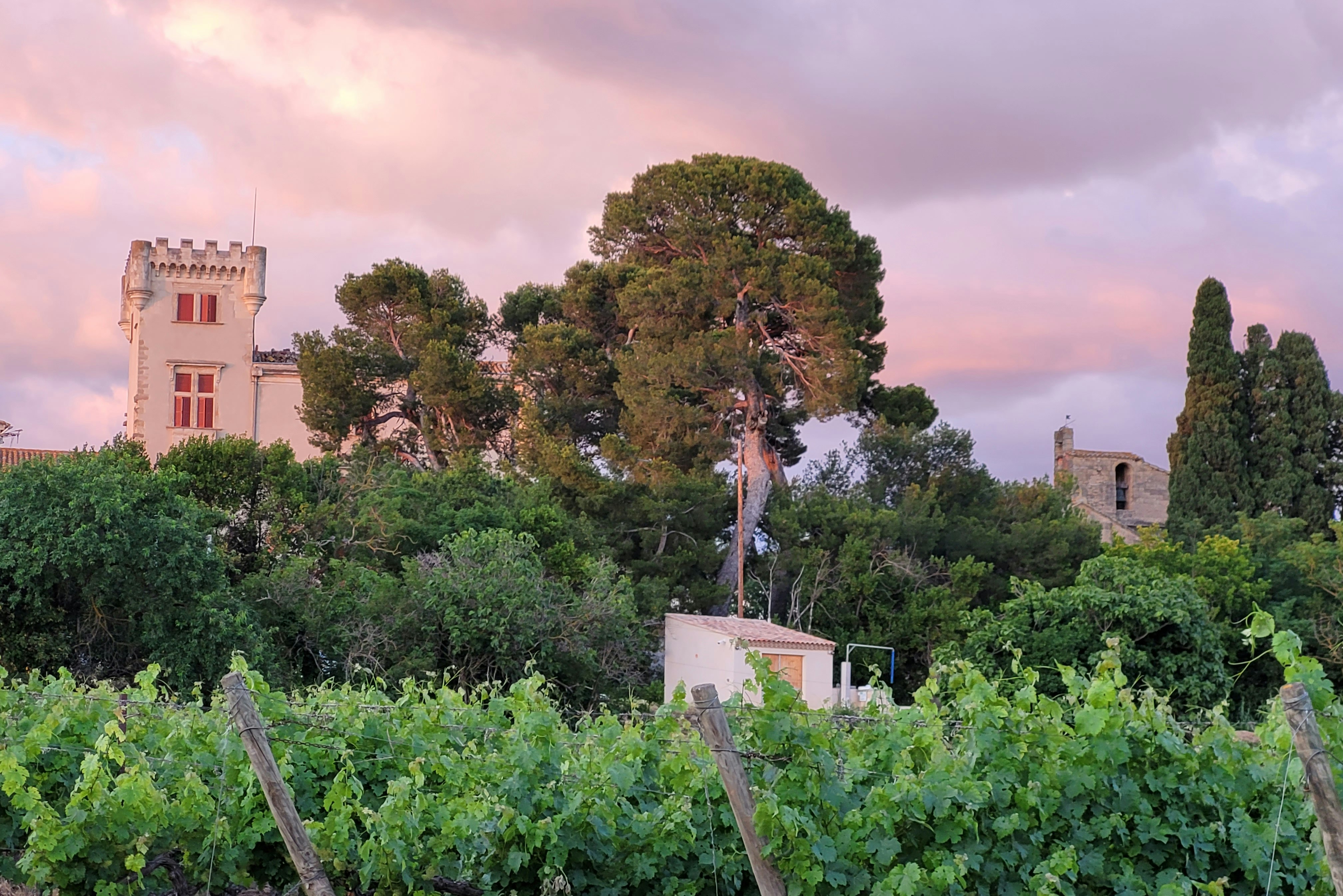 Camping Les Cigales  camping ecolodge les cigales - Blick in die Umgebung des Campingplatzes