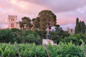 Camping Les Cigales camping ecolodge les cigales - Blick in die Umgebung des Campingplatzes