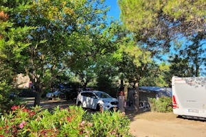 Camping Les Cigales camping ecolodge les cigales - Standplätze zwischen den Bäumen auf dem Campingplatz