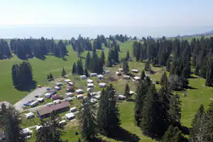 Luftaufnahme eines Campingplatzes mit Wohnwagen und Mobilheimen auf einer Wiese, umgeben von Nadelbäumen und Wegen.