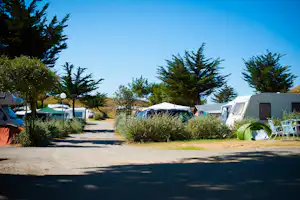 Camping Les Cyprès - Standplätze auf dem Campingplatz