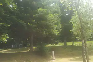 Zelt am Waldrand auf einer Wiese, umgeben von Bäumen und dichtem Grün im Campingbereich.
