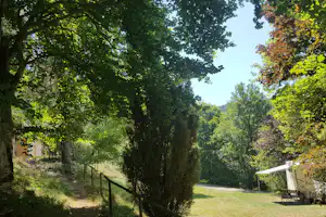 Grünes Campinggrundstück mit Bäumen, Rasenweg und Zelt im Hintergrund, daneben ein Sonnenschirm und Gartenmöbel.