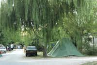 Camping Les Deux Rhône - Weg auf dem Campingplatz mit Blick auf einen Stellplatz mit Zelt zwischen Bäumen
