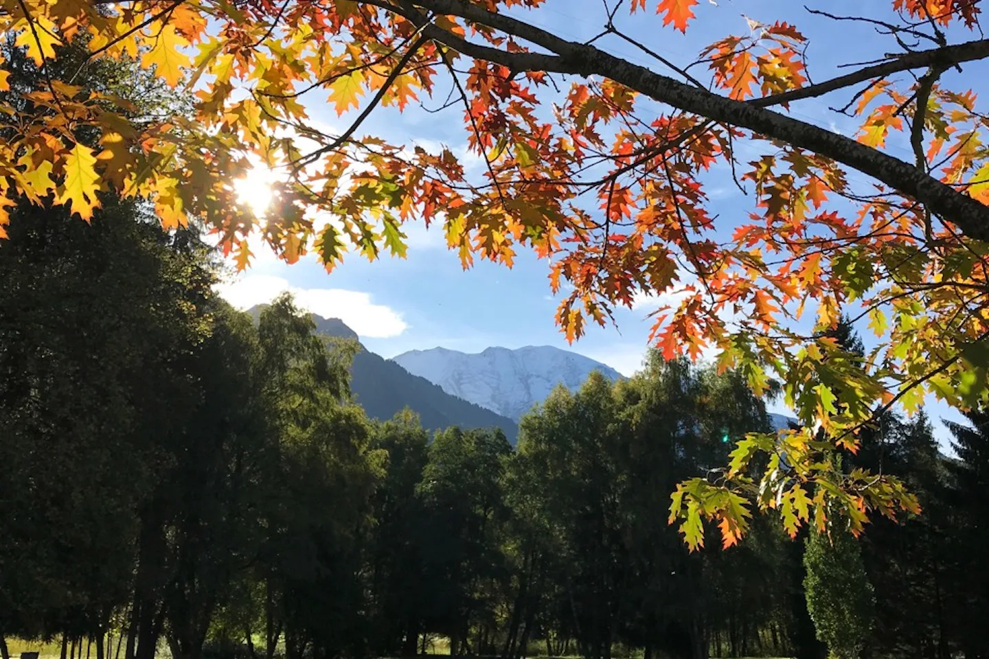 Camping Les Dômes de Miage