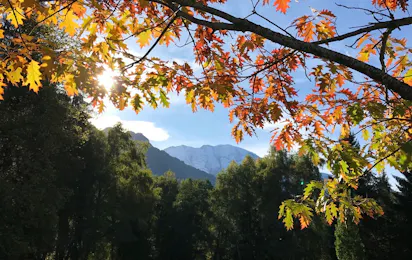 Camping Les Dômes de Miage