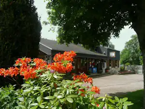 Orange Blüten vor dem Campingplatz, dahinter Gebäude mit Terrasse und Sitzbereich, gepflasterter Weg und Bäume.