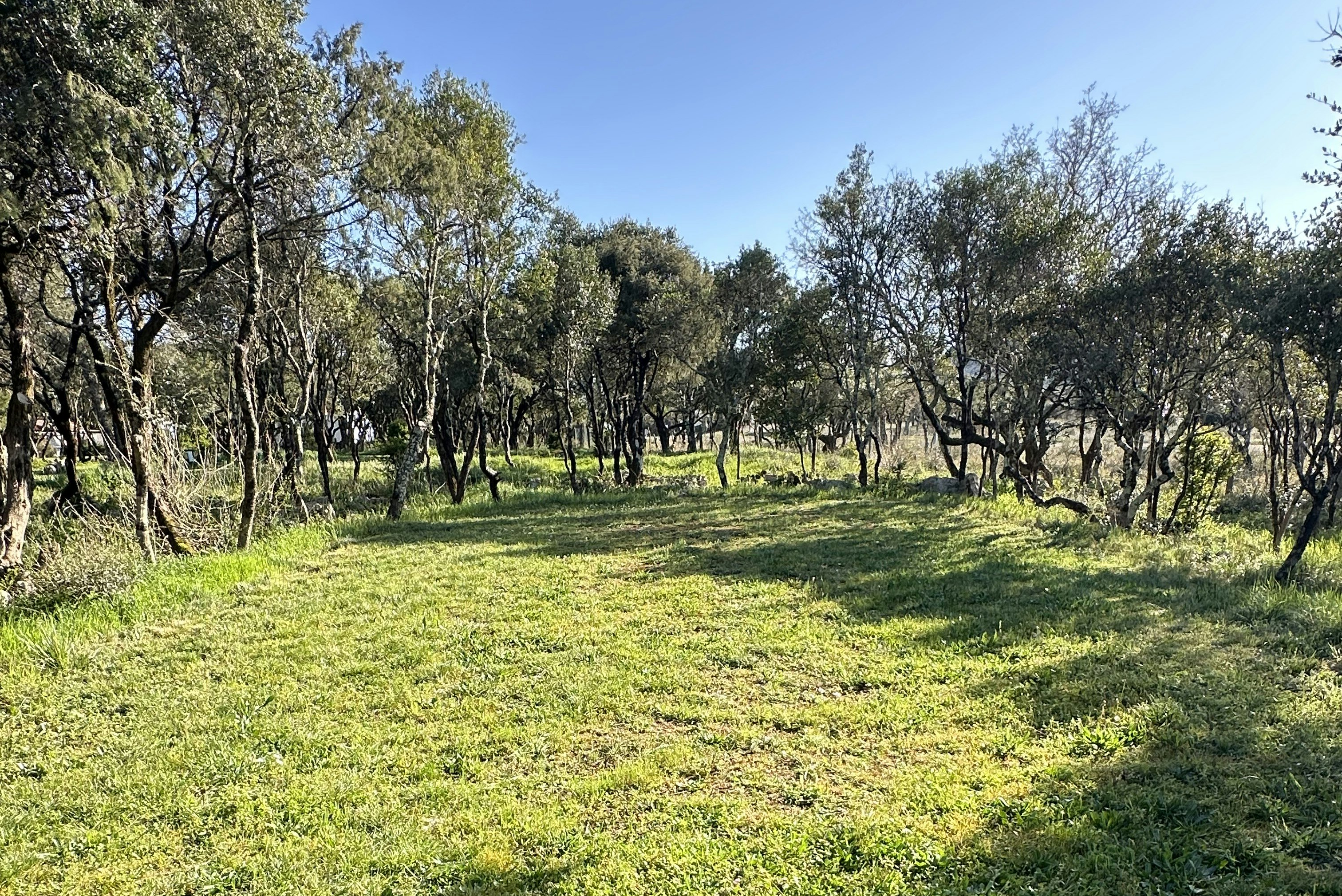 Camping Les Dolmens - Standplätze im Grünen auf dem Campingplatz