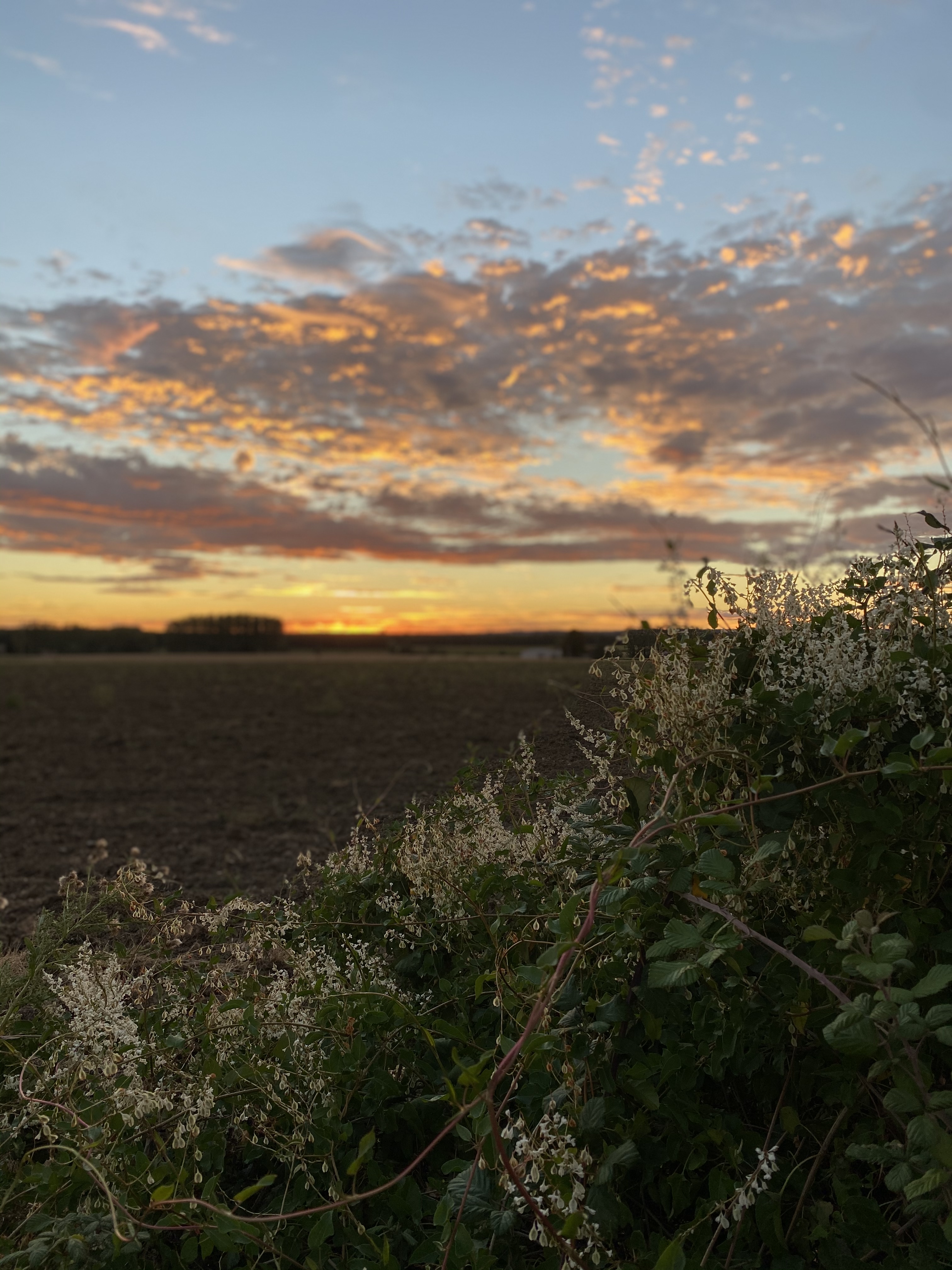 Camping Les Echaloux