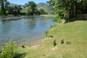 Camping Les Erables - Campingplatz am Fluss Tarn